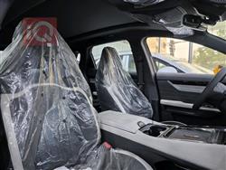 جیتۆر داشينگ